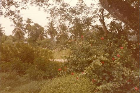 Gardens on Penang Hill 1985